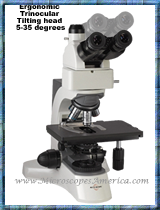 Accu-Scope 3025 Ergo Tilting Trinocular Microscope